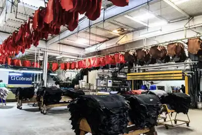 40 years of operations in Brazil for Codina Group