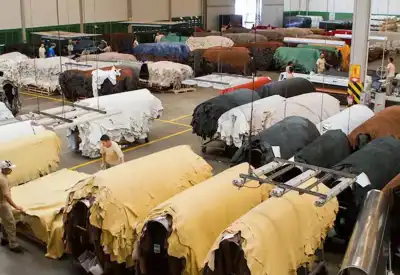 Employment up in Brazil’s leather sector