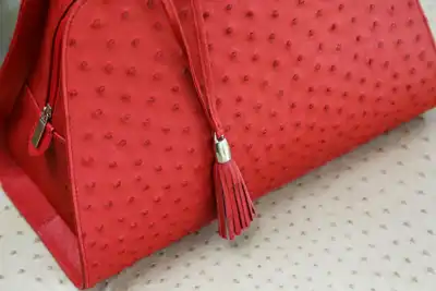Ostrich leather exporters hope for breakthrough in US tariff talks