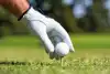 Behind the leather golf glove