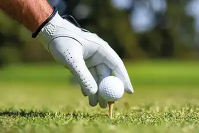 Behind the leather golf glove