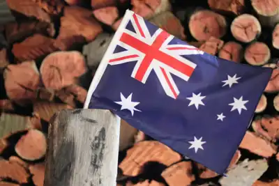 Australian beef exports hit record August as sheepmeat falls