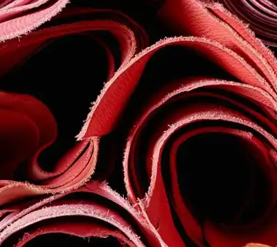 Leather Naturally reports growth, boosts science-based outreach