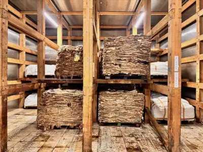 Alliance France Cuir explains complex sheepskin dynamic