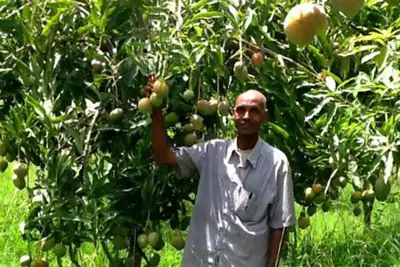 Ethiopia Tannery Share celebrates fruits of labour