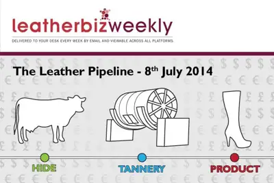 Leather Pipeline: Biggest players are eroding natural market forces