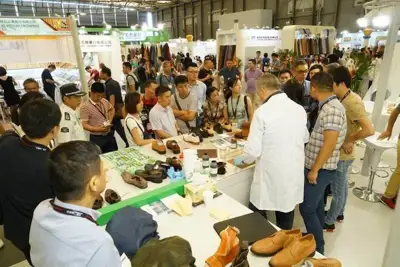China’s shoe output to show first fall in decades in 2016