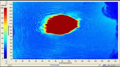 Sound waves could help identify flaws in hides