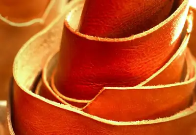 Overseas delegations tap Italian tanners for ideas