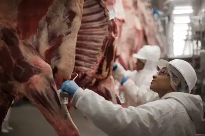 Mercosur beef exports up by 6% in first half of 2018
