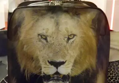 Maitan wildlife bags catch the eye at Tanning Tech