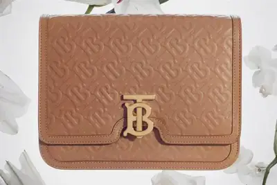 Burberry insists on tannery certification