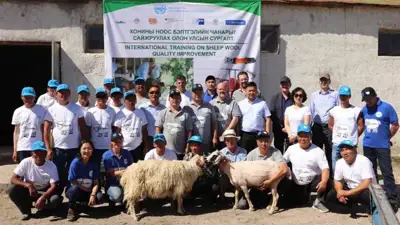 Mongolia: Antipodeans conduct sheep shearing masterclass