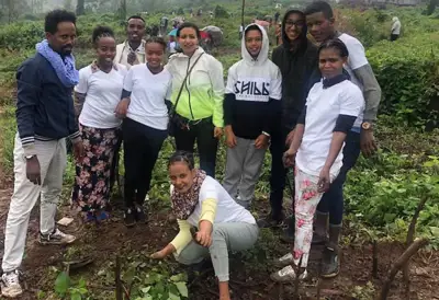 Green-fingered Pittards teams take part in Ethiopia reforestation programme