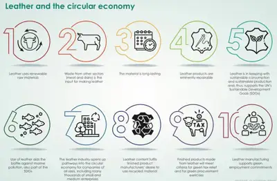World Leather announces major new collection of articles on Leather and the Circular Economy