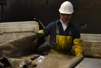 US hides are still going into landfill