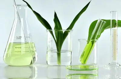 Zeolite can be ‘gamechanger’ for the industry, Smit & Zoon says
