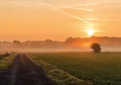 Circular economy horizons