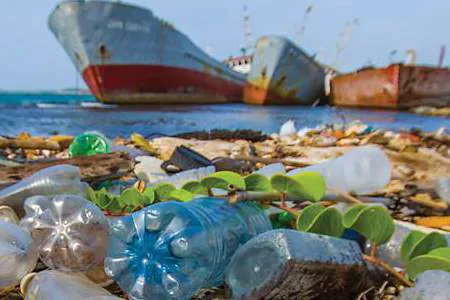 Alternative materials to leather: environmental impacts and cost