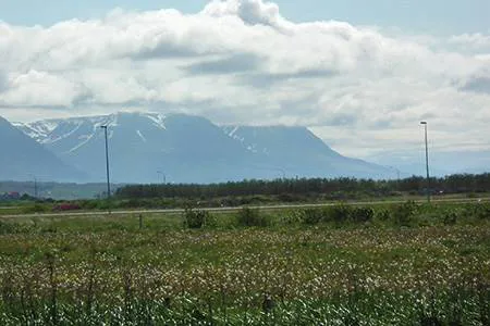 Atlantic Leather, Saudarkrokur, Iceland
