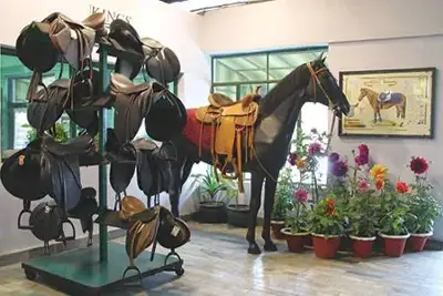 Kings International Ltd, Unnao, Uttar Pradesh, India