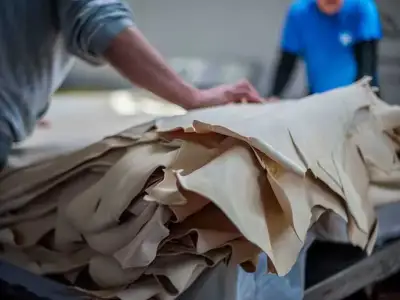 Future Pasubio growth will include further acquisitions and “other materials”