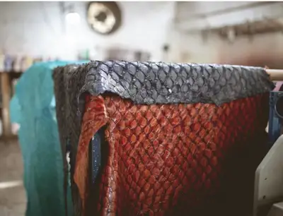 Fish skin tannery says sustainable practices are transforming stocks