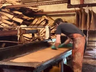 Oak bark tanner celebrates individuality of hides