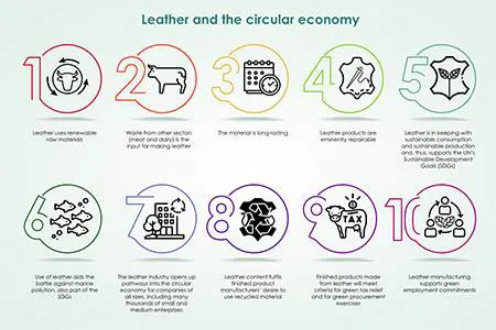Industry challenges Veja’s leather decision