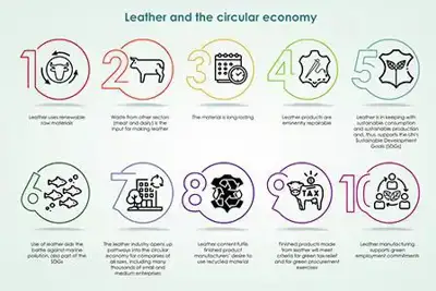 Industry challenges Veja’s leather decision