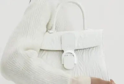 Festive Delvaux bags feature new effects
