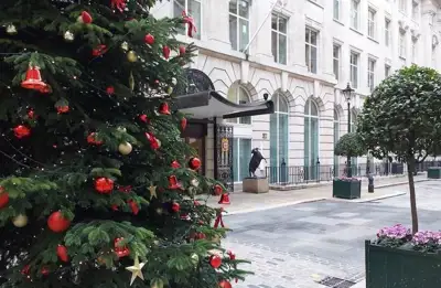 Happy Christmas, healthy and prosperous New Year