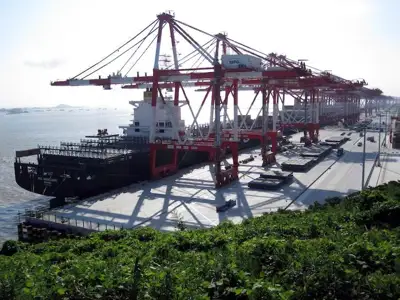 Market Intelligence: the direct effect of China’s lockdowns