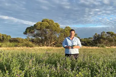 Australian project shows rotational grazing boosts soil carbon