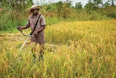 Fertiliser matters