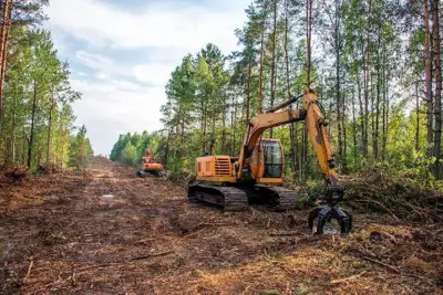 Low blow for leather in European deforestation vote