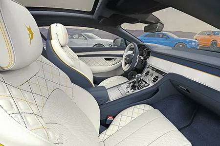 A record year for luxury car brands