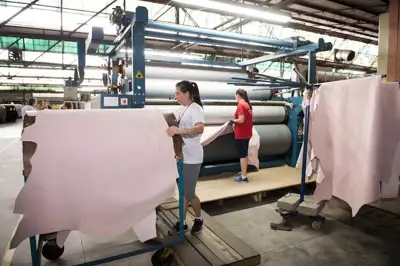 Thousands of companies are still falling foul of Brazil’s leather law