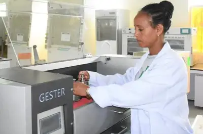 Ethiopia - Leather laboratory boosts hopes for improved quality and health