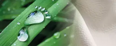Pulcra chemicals launch renewable carbon fatliquor