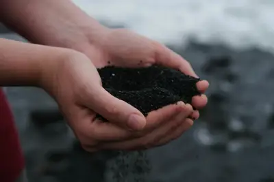 Study reveals leather’s superior biodegradability