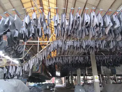 Vietnam demand drives US wet blue export growth