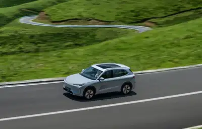 China: Automotive tanners are pleased by NEV growth
