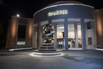 Caleres reports 2024 financial decline