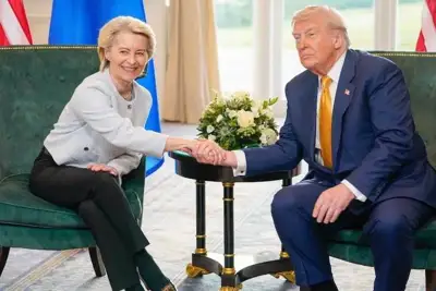 New EU-US trade framework calls out EUDR chaos