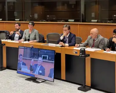 Brussels meeting hears leather’s EUDR case once again