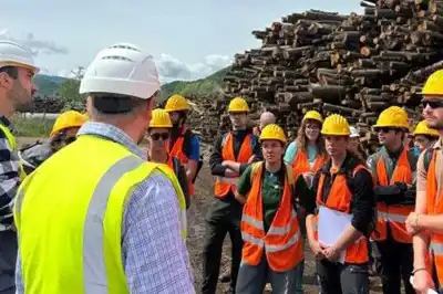 Forestry students learn about timber sourcing at Silvateam