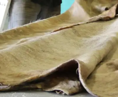 Henan-Prosper acquires French leather supplier