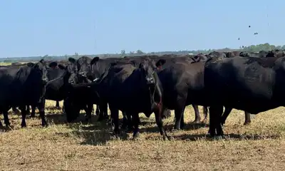 PrimeAsia invests in grazing management initiative