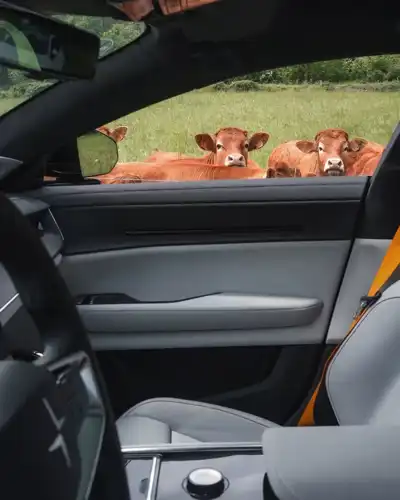 Polestar design chief questions sustainability of vegan upholstery